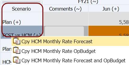 Quick menu from Review HCM data task, HCM Monthly Pay tab