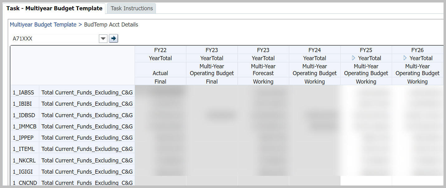 Multiyear Budget Template Account Details