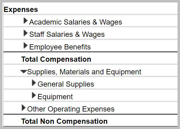 SRECNA report showing non-comp expenses