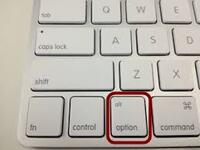 Option button on Mac keyboard
