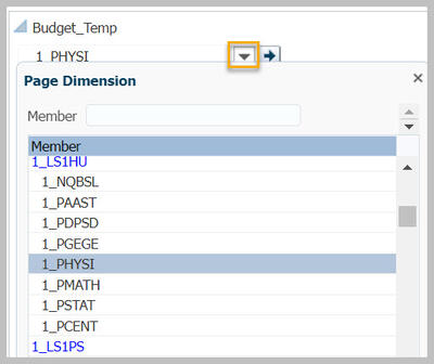 Select Entity box from Multiyear Budget Template