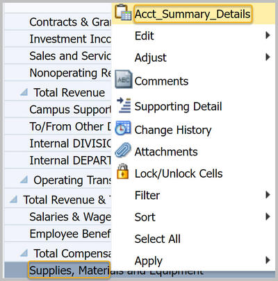 Acct Summary Details on context sensitive menu