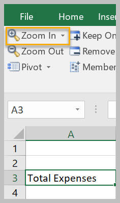 Zoom In button example